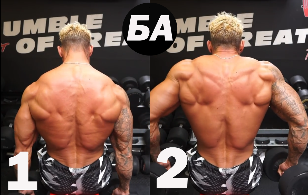 Подъёмы на заднюю дельту, фото взято из открытого источника(Яндекс Картинки)