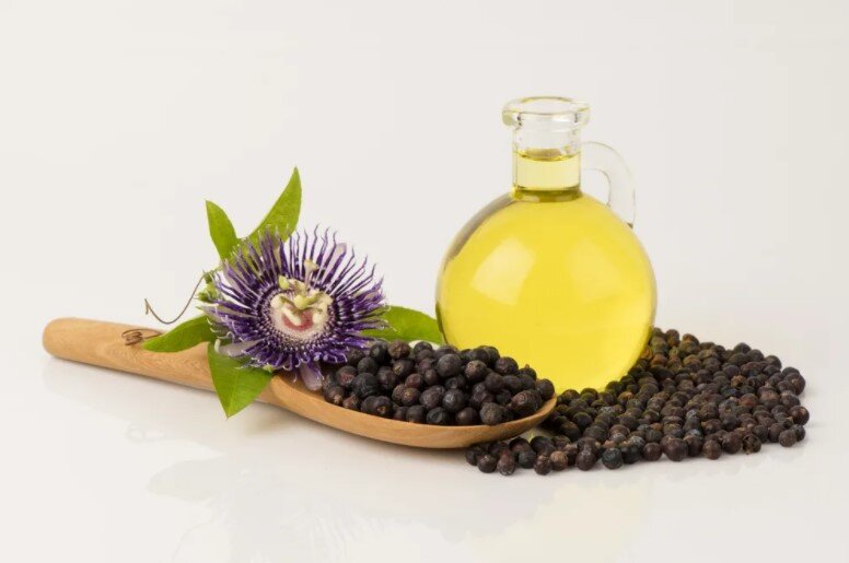 Полезные свойства можжевельника