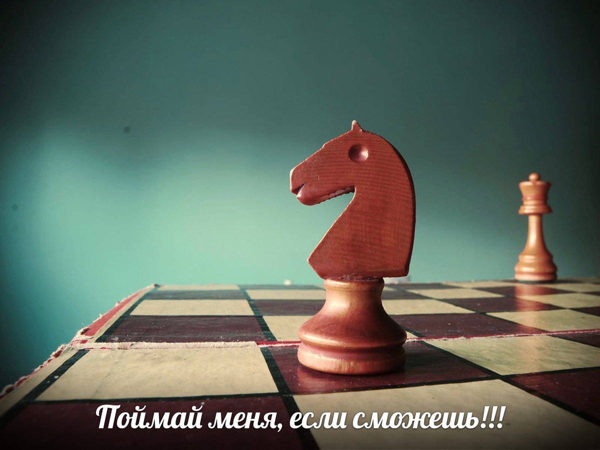 Шахматные этюды в эндшпиле. Попробуй решить все! Часть 1 | WorldChess — Все  о шахматах | Дзен