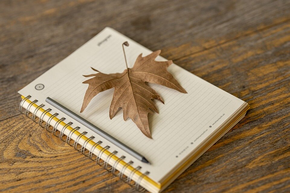 источник фото: pixabay.com