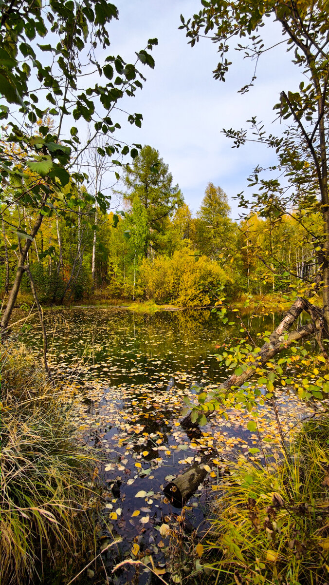 Фото Лианы Романовой