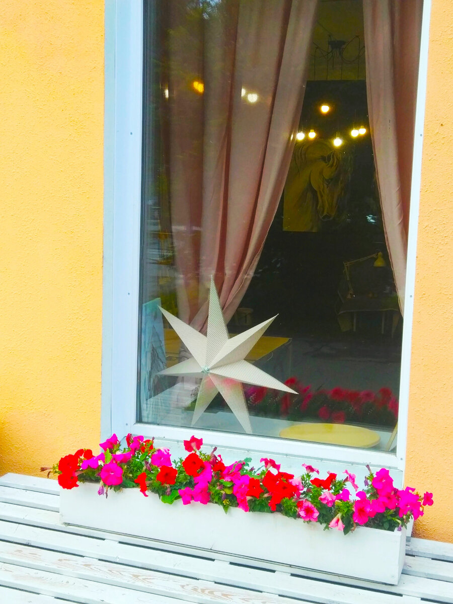 Светильники на фото иллюстрируют мою миссию: я вношу ясность в размышления собеседников.