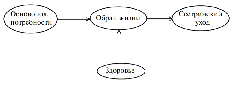 Схема 1. Основные элементы теории сестринского дела Вирджинии Хендерсон. Источник: Марит Киркеволд. Сестринское дело. Анализ и оценка теорий. Перевод с норвежского Панкратовой Э. — М.: ПЕР СЭ, 2000.