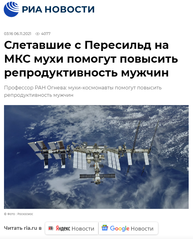 https://ria.ru/20211106/mukhi-1757847074.html?utm_source=yxnews&utm_medium=desktop