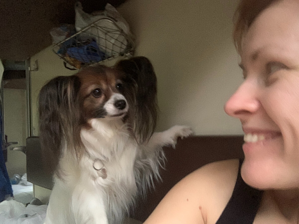 Общаемся с папийоном Марлишей. Фото автора 