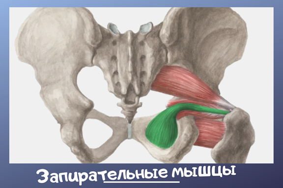 Лечение недержания мочи