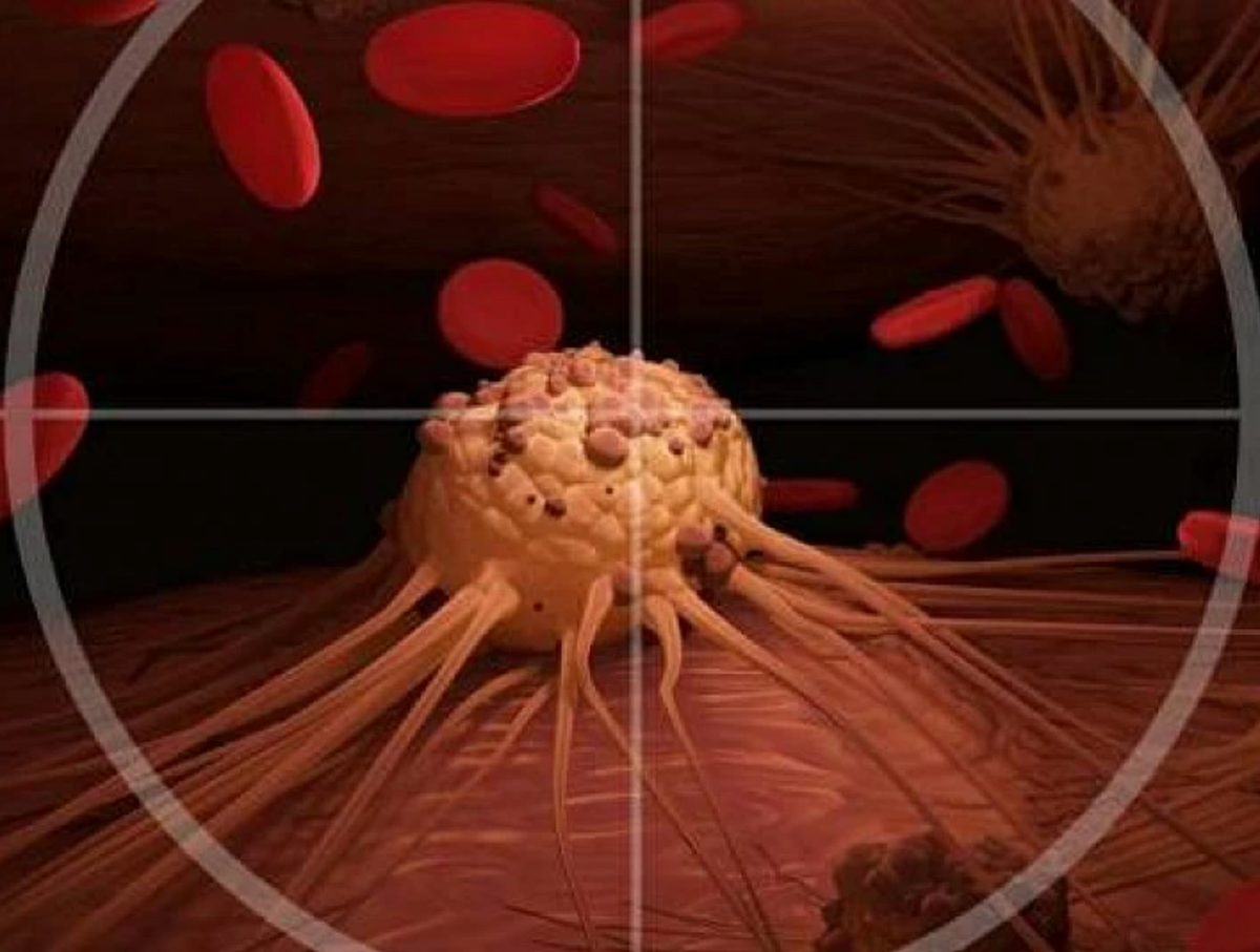 фото: shutterstock.com