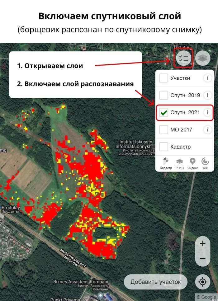 Так выглядит слой с распознанным по спутнику борщевиком