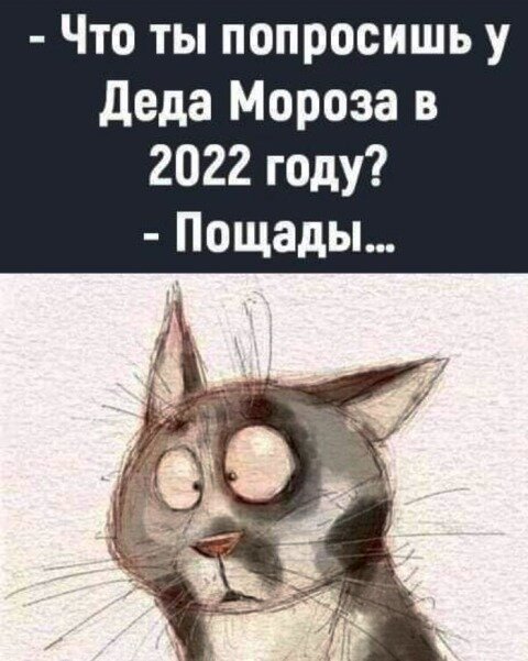 Даже если вы самый последний пессимист – вы уже прожили 2022 год