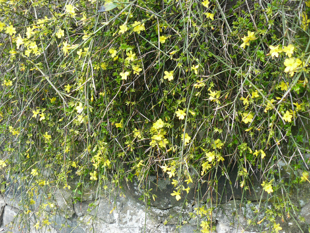 фото автора/Крым