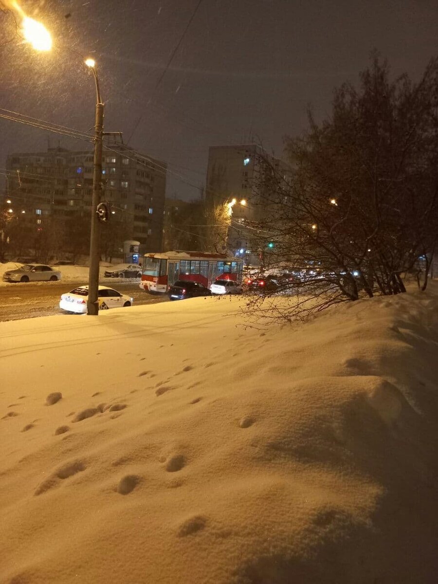 Фото автора.