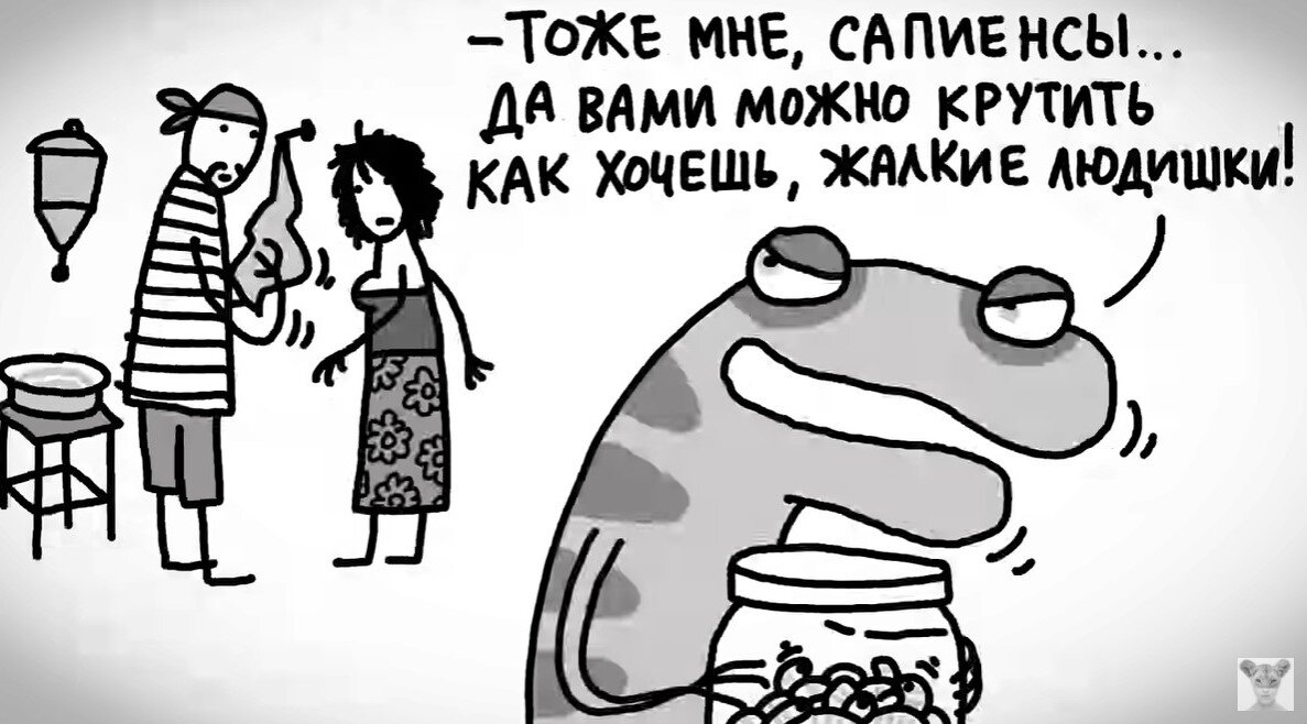 Все фото данной статьи взяты с  канала "Все как у зверей" 