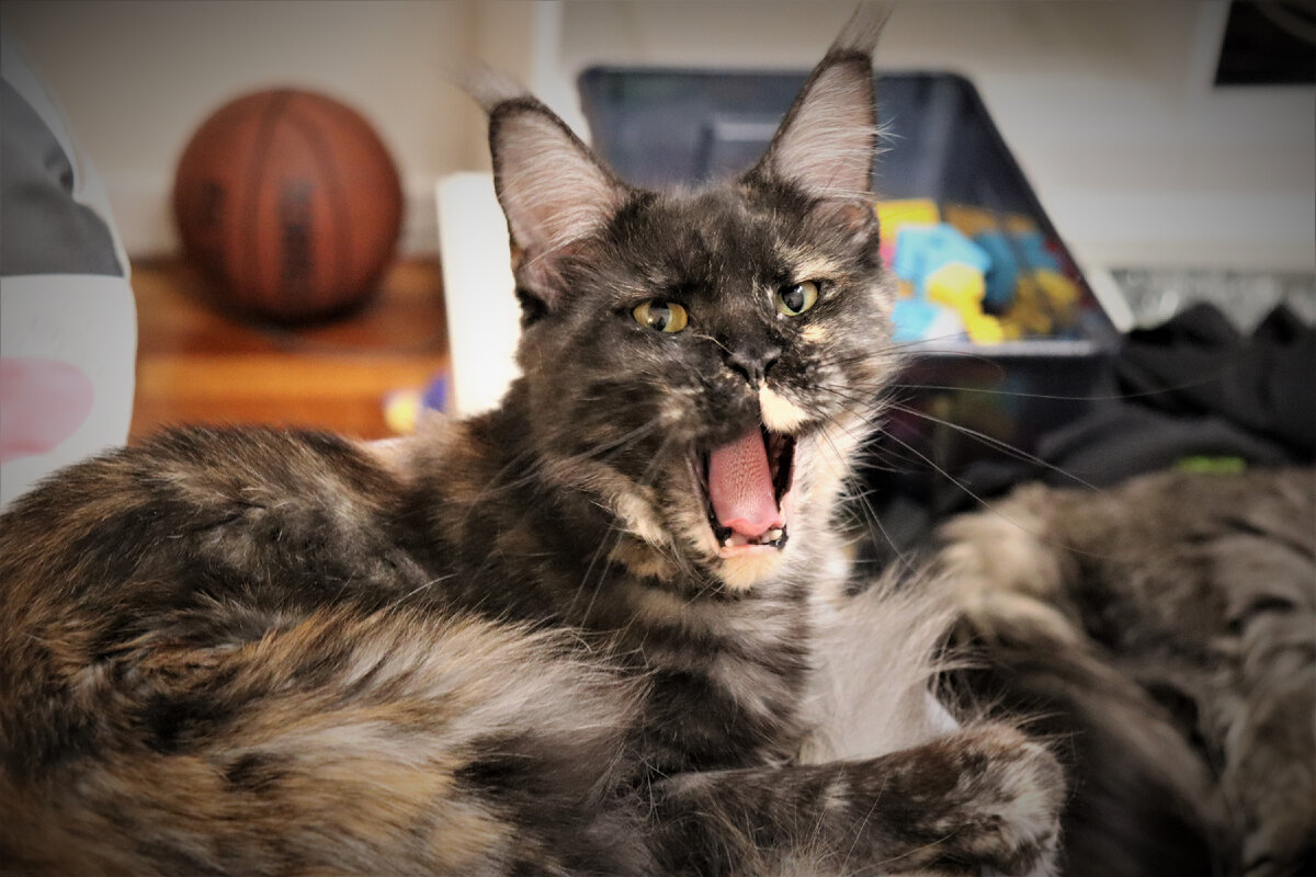 Фото из личного архива.