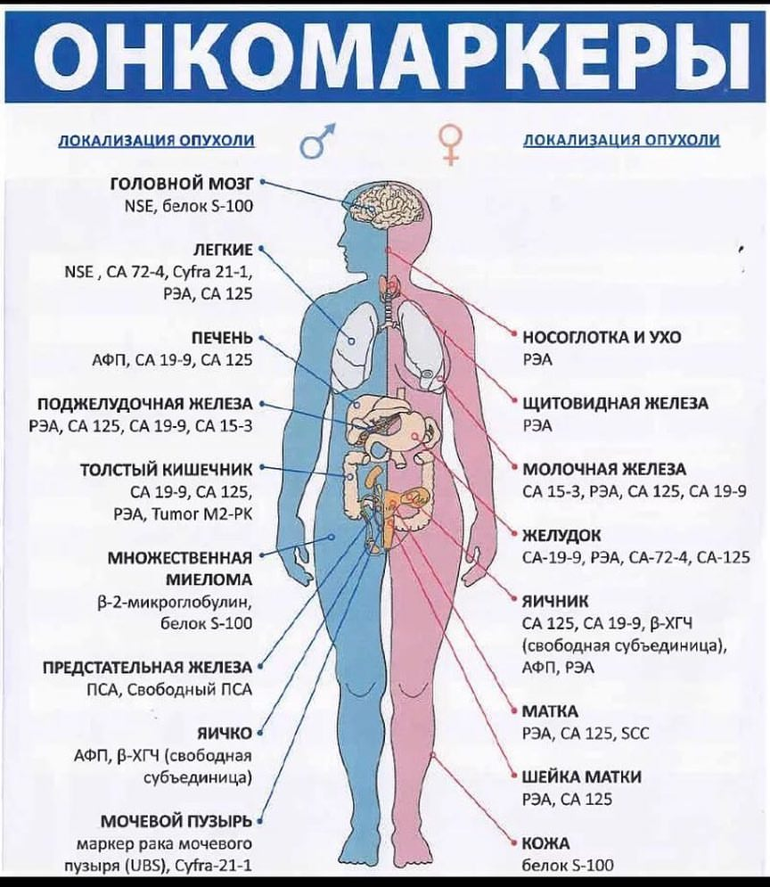 Анализы на онкомаркеры