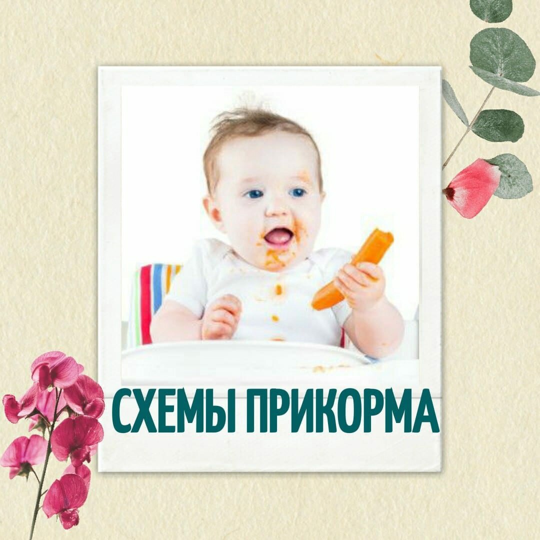 " Пришлите схему прикорма" - получаю я в сообщения! И чтобы ответить всем и сразу, я решила написать на эту тему пост☝ 
СХЕМЫ ПРИКОРМА НЕ СУЩЕСТВУЕТ ‼

🔴 у ВОЗ нет никакой схемы прикорма (а мы руководствуемся именно ВОЗ)! Это всемирная организация, а там не может быть единой схемы, т.к. существует ряд стран и регионов, с разными обычаями и культурой, поэтому тут нет возможности ввести что-то единое;

🟠 так же нет и того, с чего именно начинать прикорм: каши или овощи, мясо или рыба! Важно лишь разнообразие, а мама сама решает с чего ей начинать;

🟡 нет ни одного научного доказательной исследования, где один продукт вводится 7 дней и больше. ВОЗ нам говорит о том, что к году жизни малыш должен перейти на общий стол;

🟢 ну и конечно наша главная задача познакомить ребенка с разнообразными продуктами и консистенцией пищи;

🔵 ориентируемся на сезонность овощей и фруктов в вашем регионе;
И если подвести итог, то у каждой мамы сложится своя схема прикорма, которая подойдет именно вашему ребенку!
