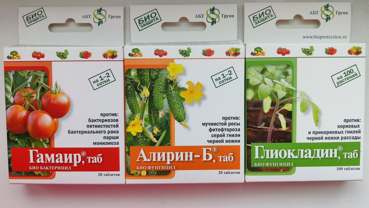 Препараты, которые я использую и при пикировке, и при пересадке рассады в грунт