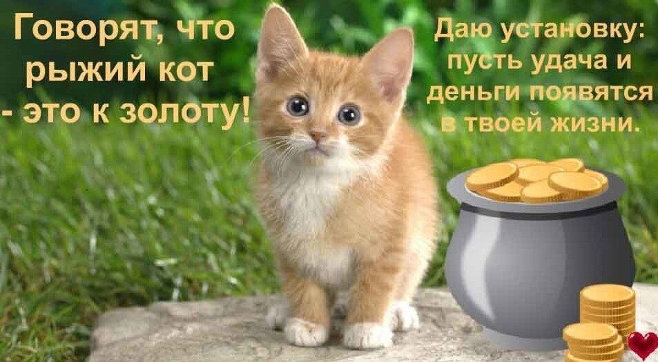 Фото из открытого источника Яндекс