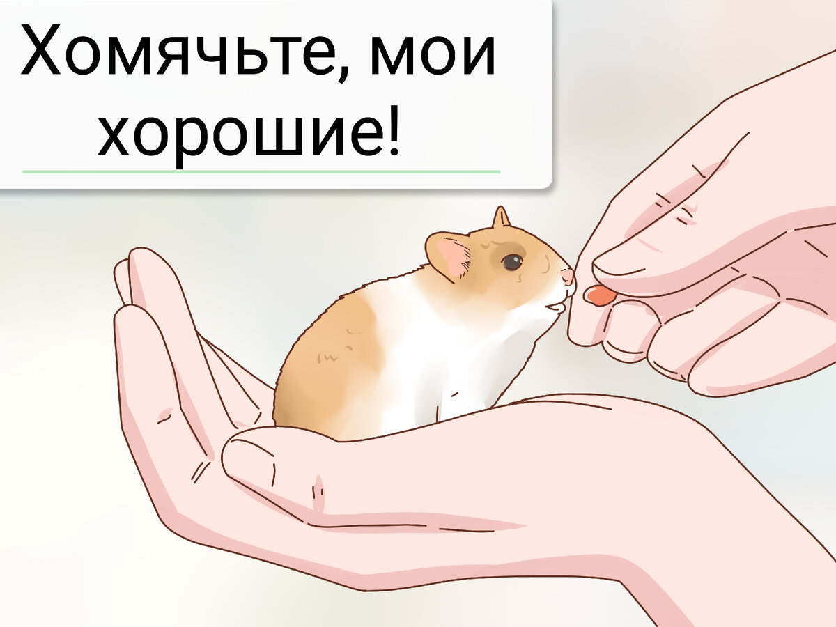 Биржа за прошедшую неделю 