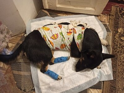 После стерилизации