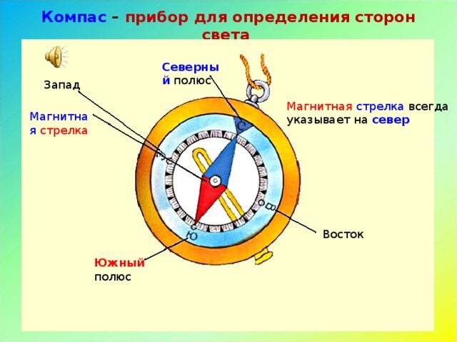 Магнитная стрелка компаса зафиксирована северный полюс затемнен см рисунок к компасу поднесли