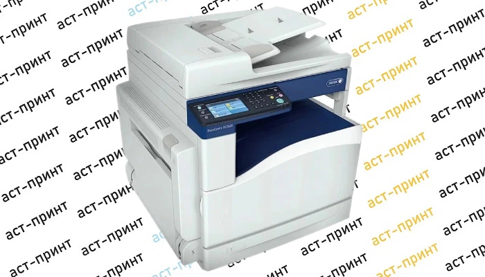 Цветной принтер XEROX SC2020 формата A3  