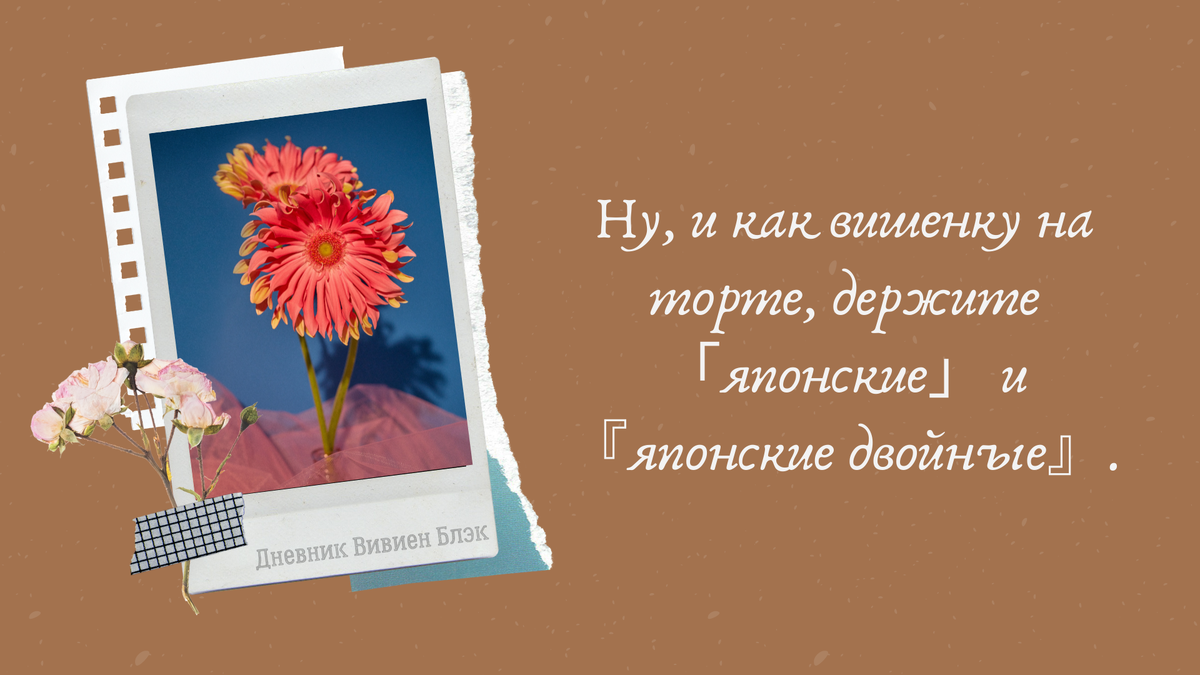 Лапки против ёлочек, или когда и какие кавычки использовать | (Не ...