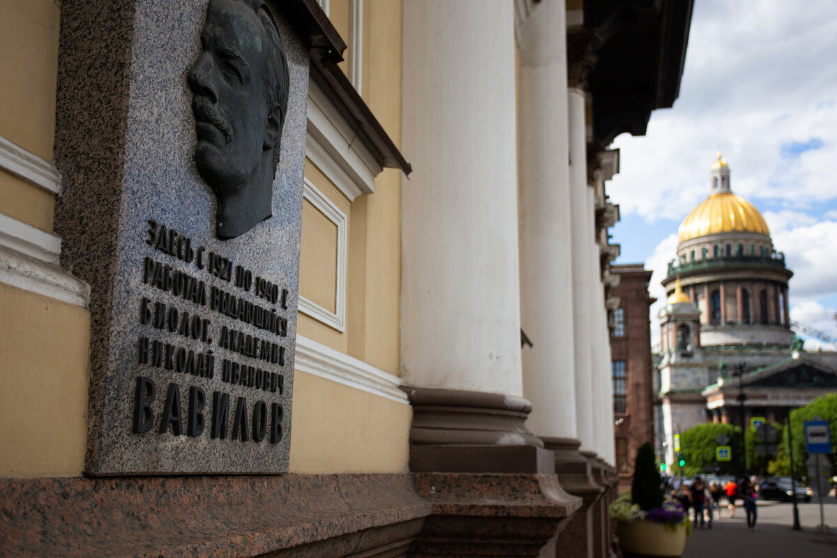 Фото проекта Россия Страна Ученых, фотограф Надежда Панова