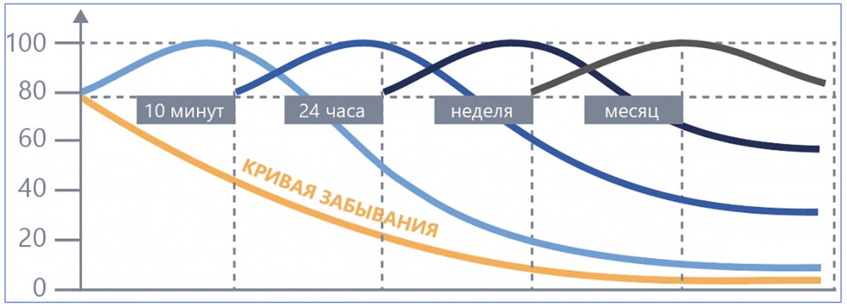 Доктор Эббингауз рассчитал кривую забывания — время, через которое мы забываем информацию.