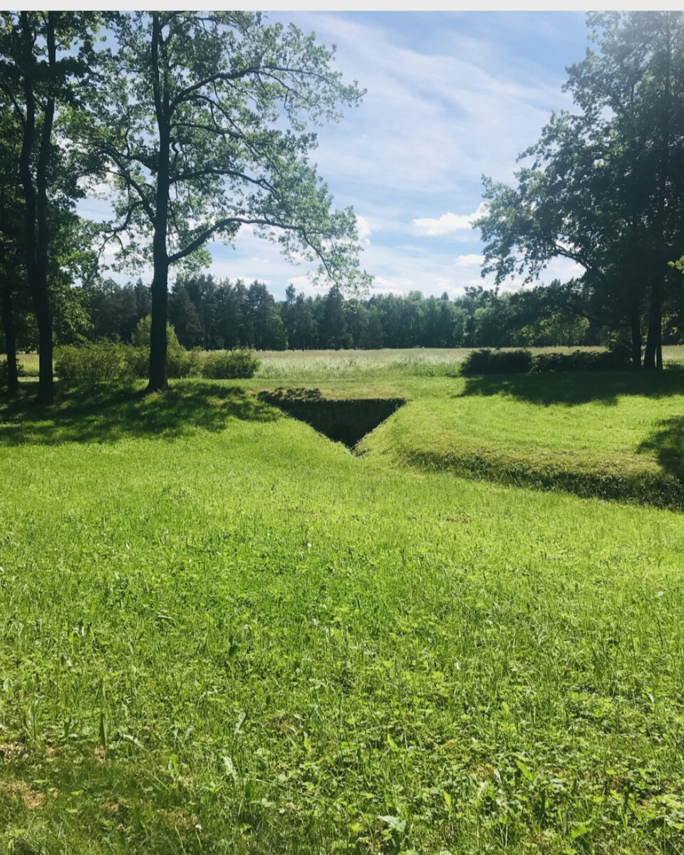 Парк Александрия в Петергофе. Невероятная красота ❤️ Как добраться, что  посмотреть, цена билетов. Как попасть в Парк бесплатно ➡ | Все о доме и  красоте ❤️ | Дзен