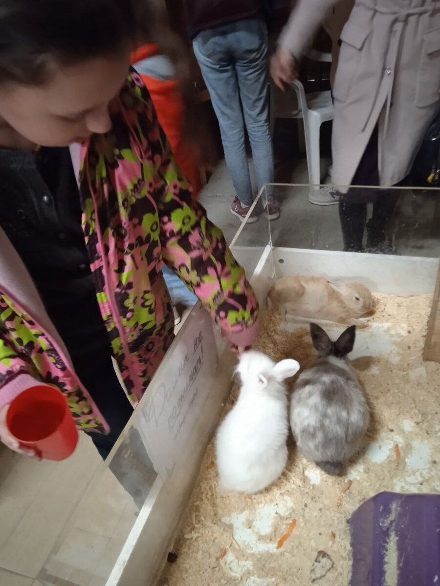 Ни один уважающий себя кролик не откажется поесть)