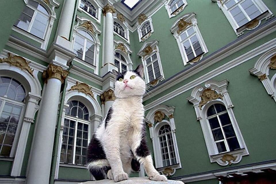 Фото:hermitagemuseum.org