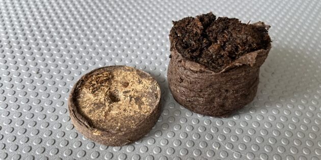 Торфяные таблетки. Фото: Виктория Курачёва / Лайфхакер📷
