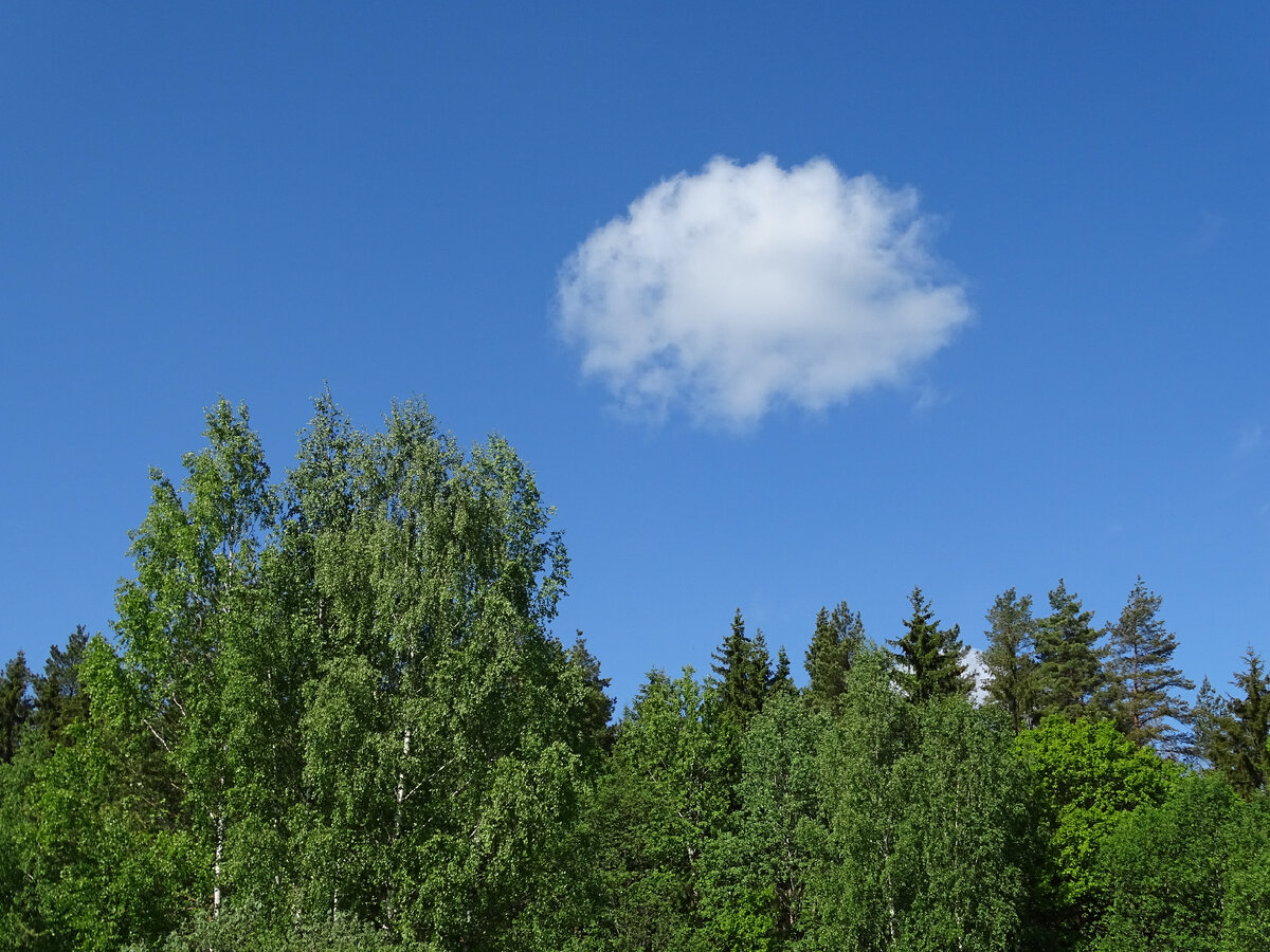 Фото Ст.Солдат. 04.06.2022