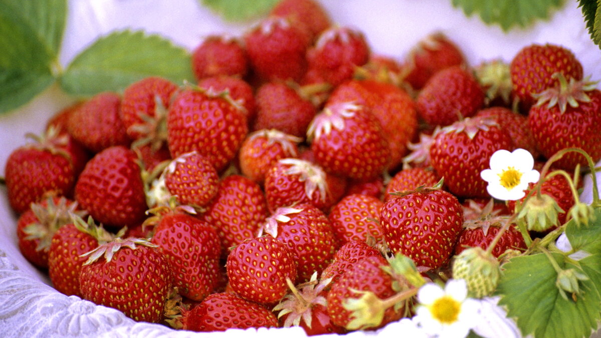 Автор - агентство-партнер - www.globallookpress.com