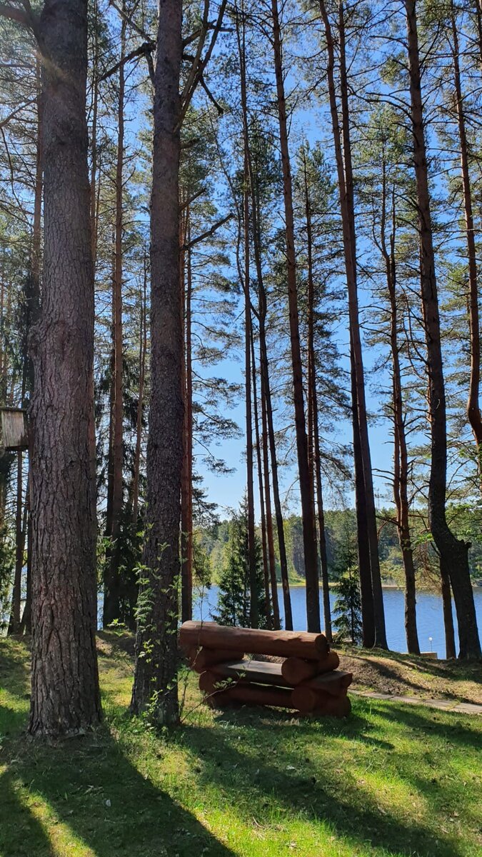 Скамейки с видом на Селигер 