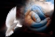 Энергия поддержки, одна из самых главных энергий 