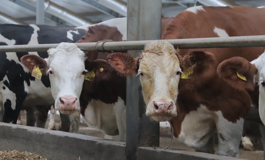 Ставьте лайк, если вам понравилась публикация. Подписывайтесь на канал и будьте в курсе отраслевых событий.