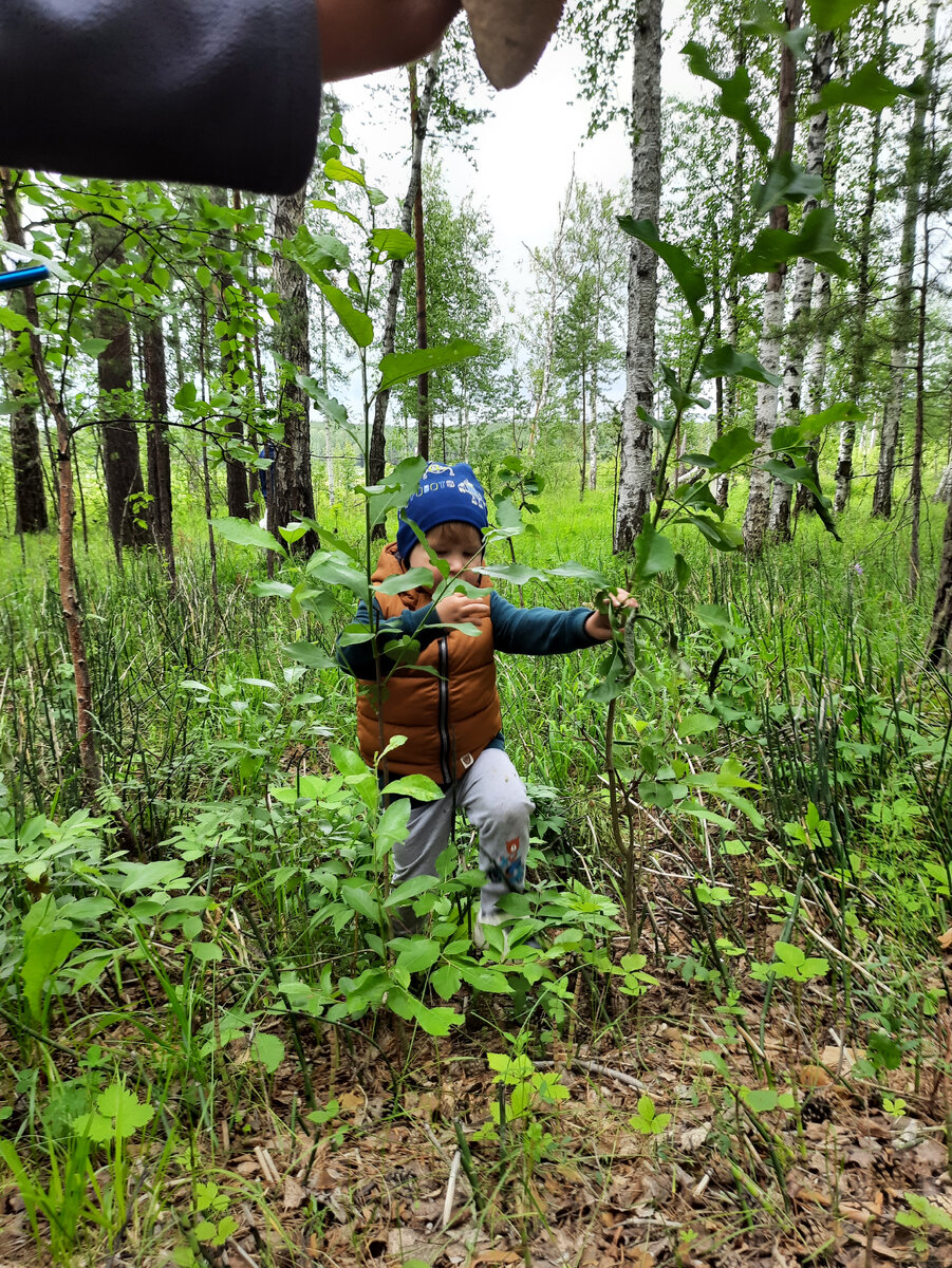 Фото  Демидовой Александры