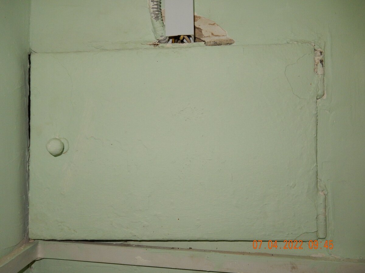 Фотография 4 июля 2022 г.