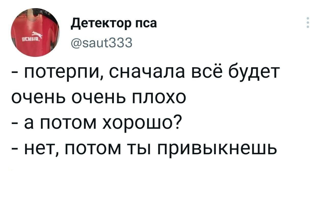 «Абибас» вернулся, Сбер побирается по помойкам, а Россия догоняет технологии Узбекистана0