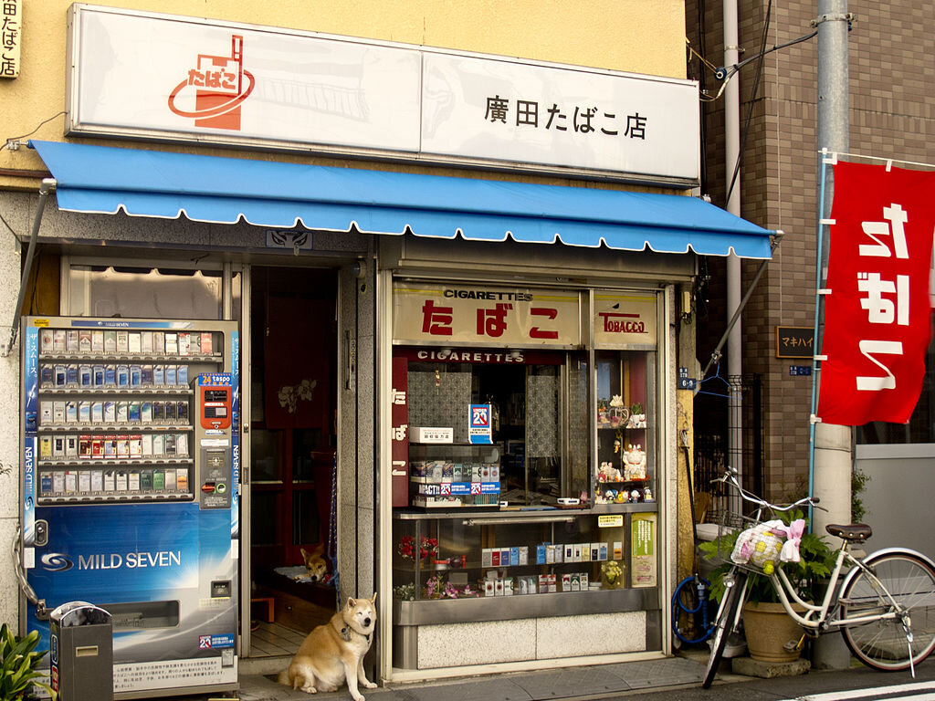 By Andrew K. Smith. https://commons.wikimedia.org/w/index.php?curid=39769925. Собачка в дверях-не Хатико. 2011