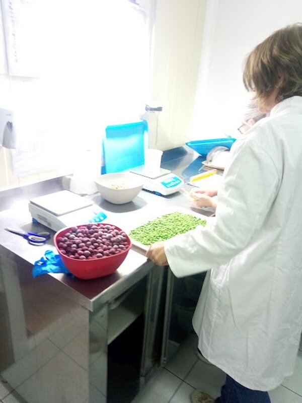 В лаборатории компании "Плантер" 