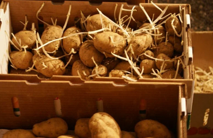 Добавьте описание