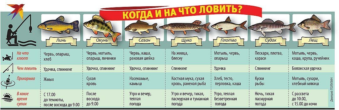 Ловля рыбы какие. На что мошно ловить рыбе. На что можно лов ть рыбу. Курую рыбу запрещено ловить. Какую рыбу на что ловить таблица.