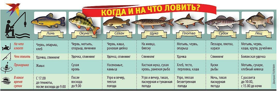 Прогноз клева можайское водохранилище. На что мошно ловить рыбе. На что можно лов ть рыбу. На что клюет рыба. Курую рыбу запрещено ловить.