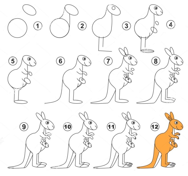 Учимся рисовать животных. 12 простых схем