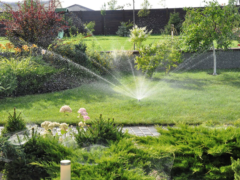 Автополив в саду