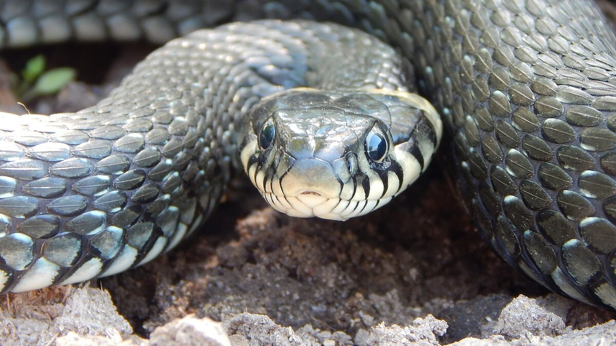 Источник: https://clck.ru/sVsRt