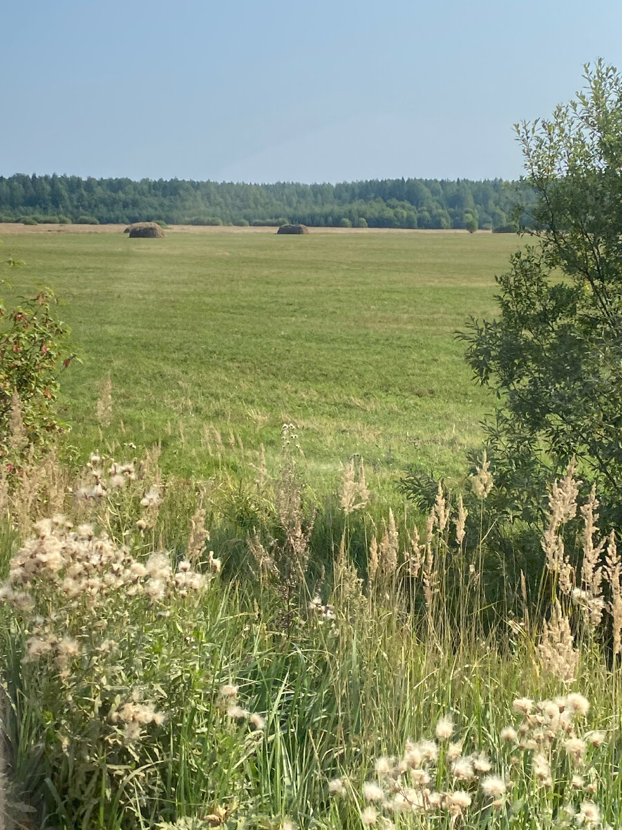 Дорога на гусиную ферму не гладкая, но неспешно проехать можно