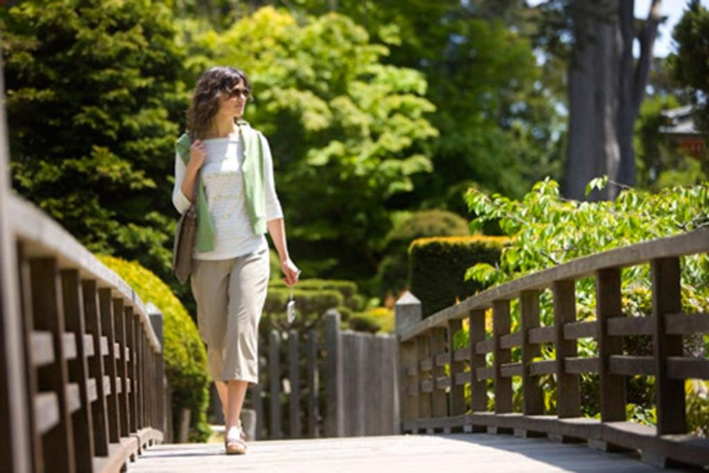 Картинка из интернета 